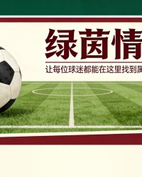 爱游戏体育-豪承认“我必须反思自己”，纽卡斯尔在水晶宫崩盘后