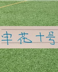 爱游戏体育官方入口-谢天谢地谢鹏飞！拉唐要敲木鱼了 今年代表申花有2黄1红了